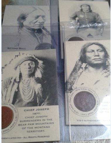 1877-Indian-Head-Penny.-Error-Or-Wear?